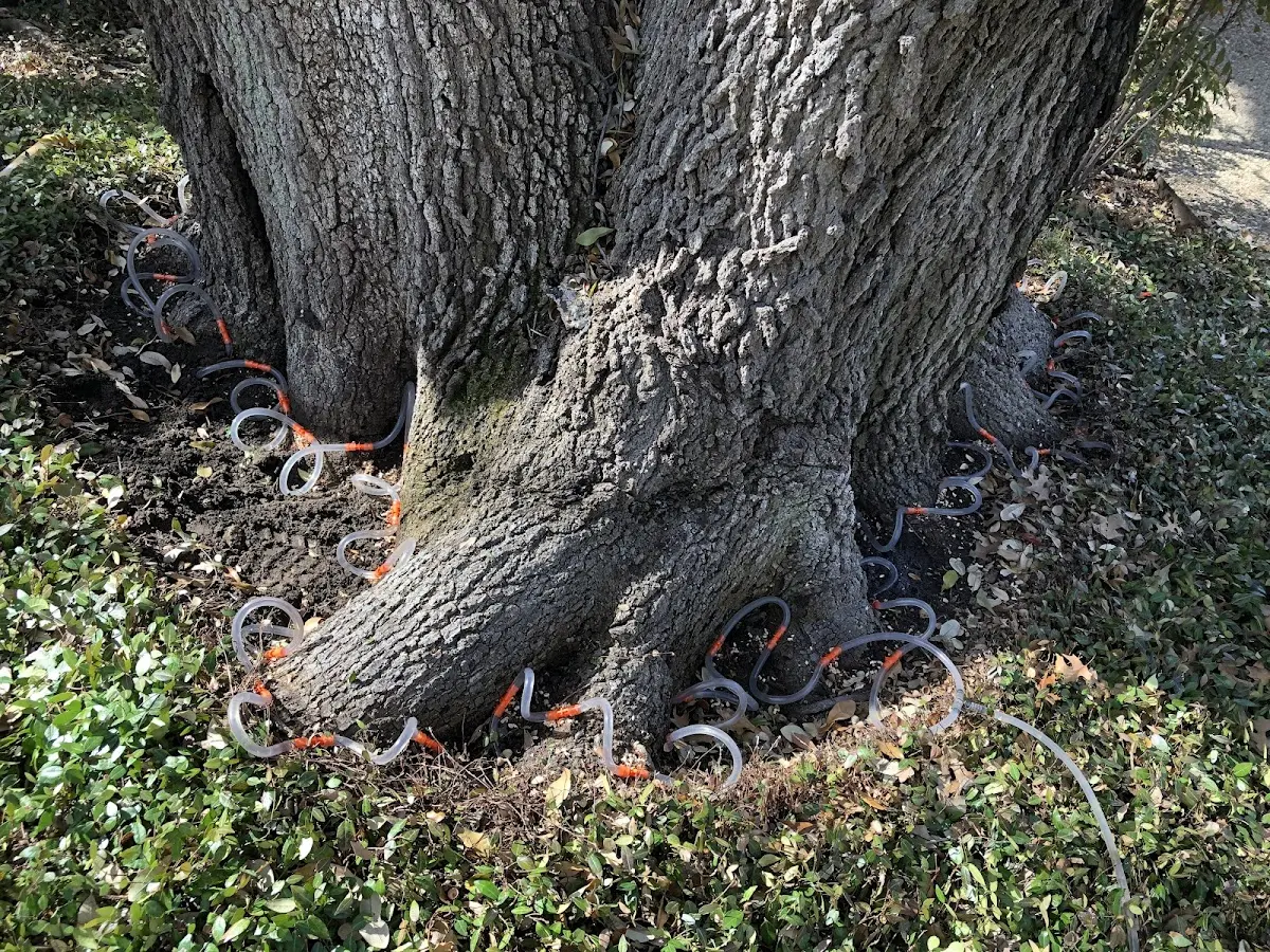 Detailed Shrub and Hedge Trimming job site in Middle Grove