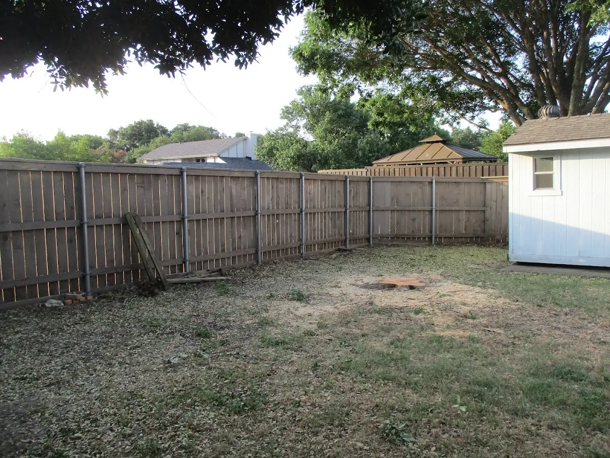 Cleared yard after professional tree removal in Middle Grove