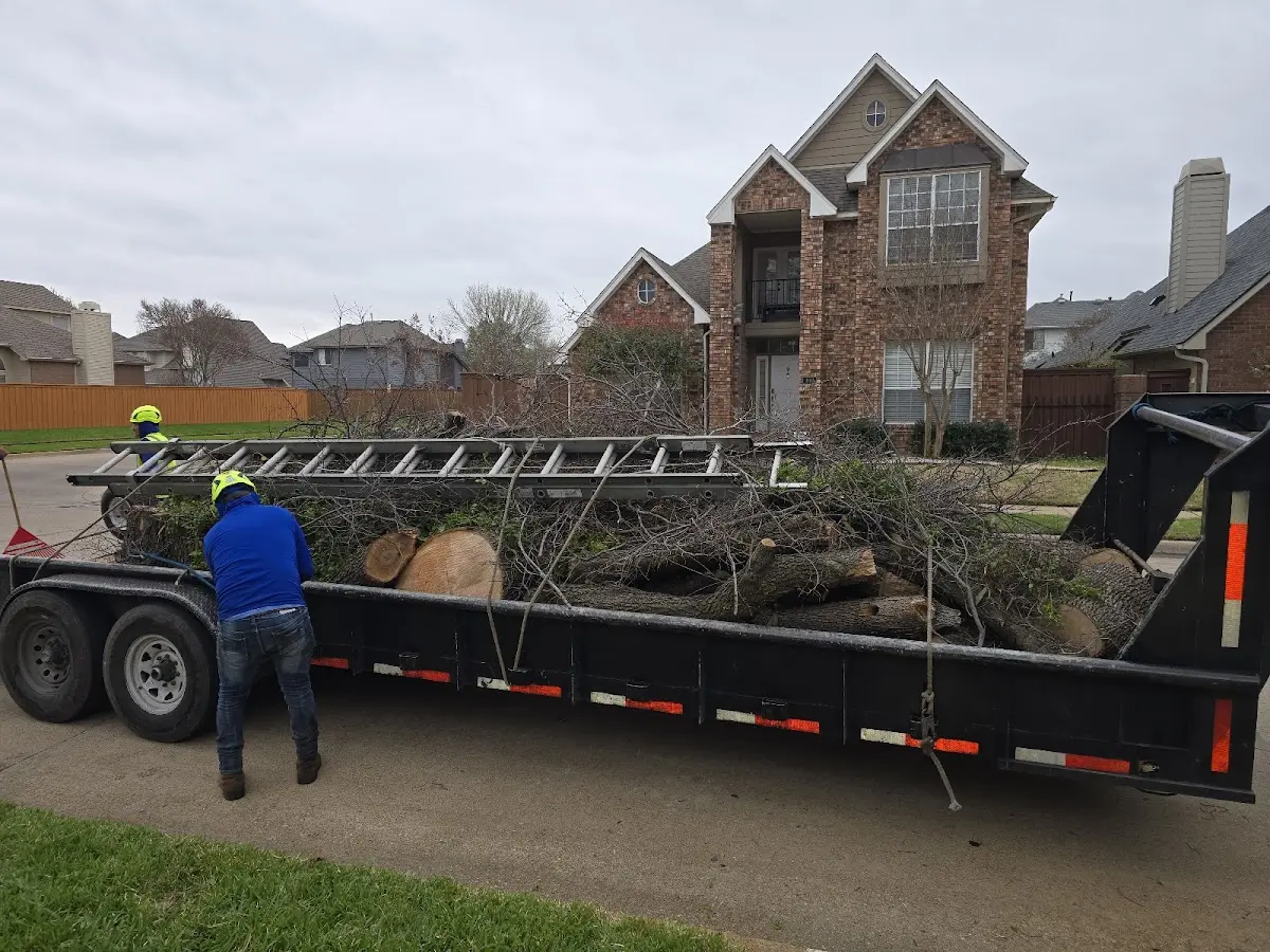 Expert Tree Removal with proper safety equipment in Middle Grove
